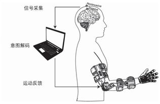 賦能新生活 基于腦機接口的手功能主動康復輔具適配服務